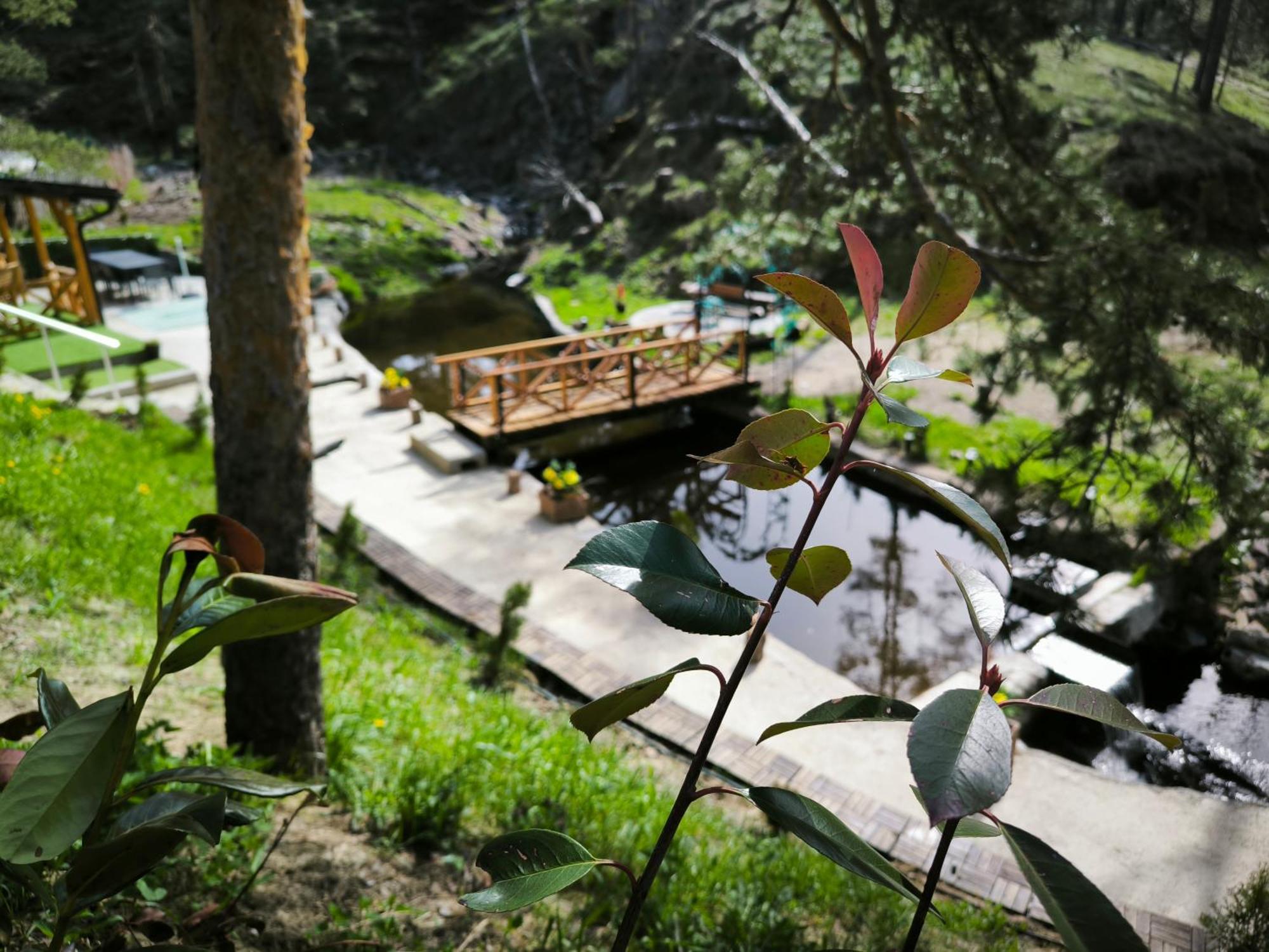 Vila Pogled Wellness I Spa Divčibare Exterior foto